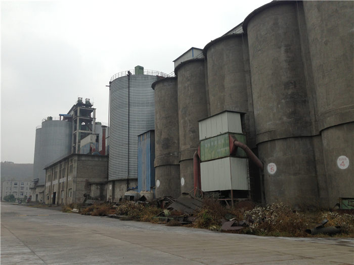 �ط�����(�ɷ�)���޹�˾-�ٷ���վ