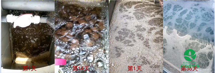 �ط�����(�ɷ�)���޹�˾-�ٷ���վ