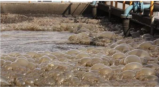 �ط�����(�ɷ�)���޹�˾-�ٷ���վ