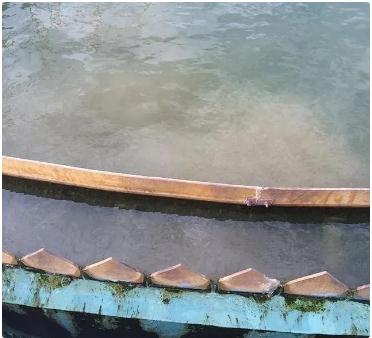 �ط�����(�ɷ�)���޹�˾-�ٷ���վ