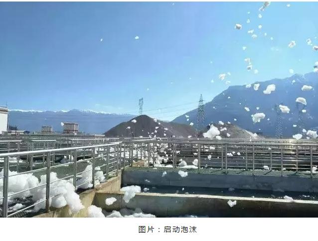 �ط�����(�ɷ�)���޹�˾-�ٷ���վ