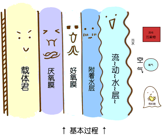 �ط�����(�ɷ�)���޹�˾-�ٷ���վ