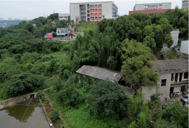 �ط�����(�ɷ�)���޹�˾-�ٷ���վ