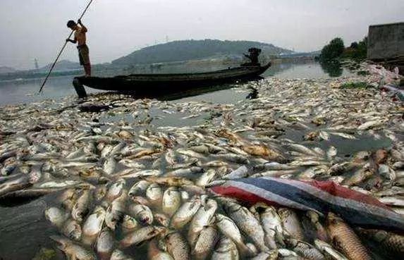 �ط�����(�ɷ�)���޹�˾-�ٷ���վ